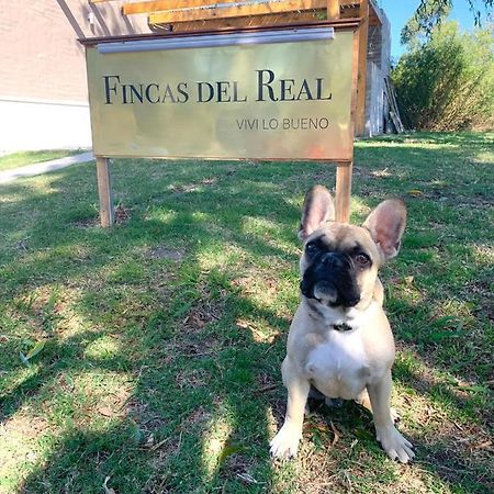 Fincas Del Real Κολονία ντε Σακραμεντο Εξωτερικό φωτογραφία