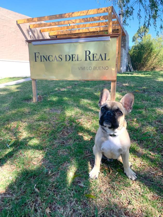 Fincas Del Real Κολονία ντε Σακραμεντο Εξωτερικό φωτογραφία